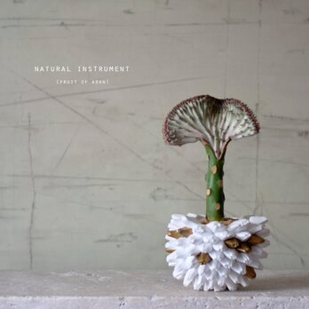 Natural instrument　アダンの実（white＆gold）マハラジャの画像