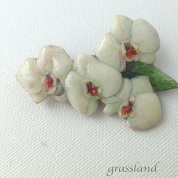 胡蝶蘭のブローチの画像