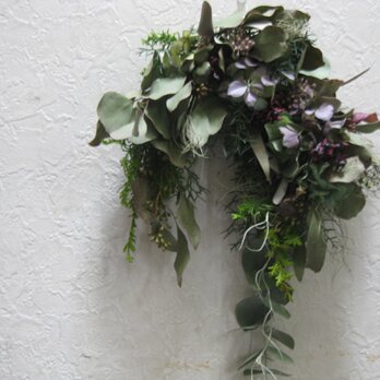 冬の紫陽花wreathの画像