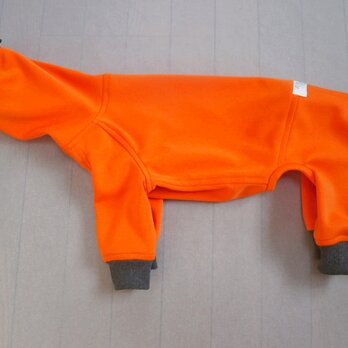 犬服　Ｉ様オーダーメイド品コーイケルホンディエ用フルスーツの画像