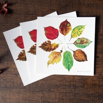 美しい葉のポストカード 正方形の画像