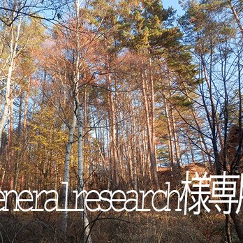 八ヶ岳〜 generalresearch様専用ページの画像