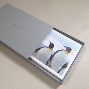 ペンギン達のポストカードセット（12枚入）の画像