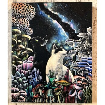 星月猫★アート「星降るキノコの森」絵画　F3 複製画 　木製パネル貼り27.3cmｘ22cm　厚み２㎝　「010」の画像