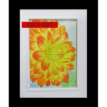 額付き水彩原画「ダリアの花」
