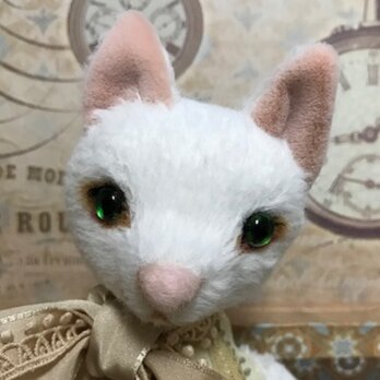 ビスコースの白猫　ルナの画像