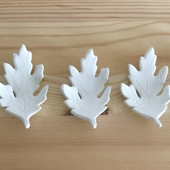 菊の葉  5枚組セット