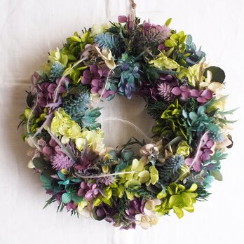 Wreath*winter hydrangeaの画像
