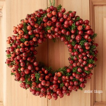 八ヶ岳〜（定形外郵便）MiniWreathノイバラの実13(BOX入り)