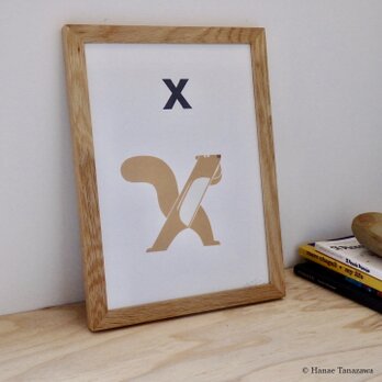 X for Xerus A4サイズポスター