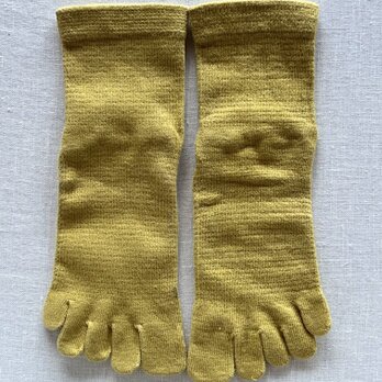 ５finger socks 小　コブナグサ:鉱物染めー淡い黄色の画像