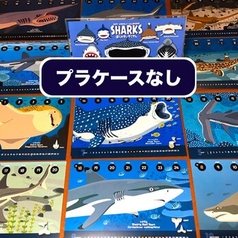 2019サメ図鑑カレンダー（エコパック）の画像