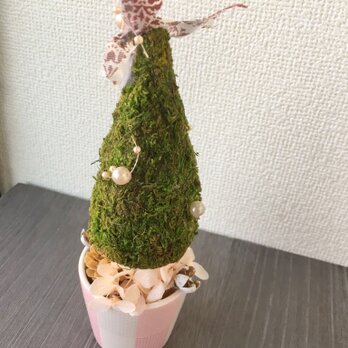 三角モスとピンクのミニクリスマスツリー【プリザ＋ドライ】の画像