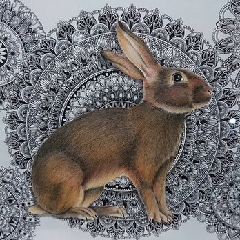 最新作 原画 肉筆 一点もの ボールペンアート 額装付き 百貨店作家 ボールペン画 絵画 野うさぎ 野ウサギ うさぎ ウサギの画像