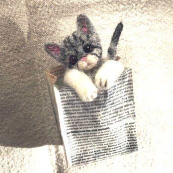 Kitten in paperbag  ブローチ＆ネックレス　形状安定羊毛フェルト　ネックレスの画像