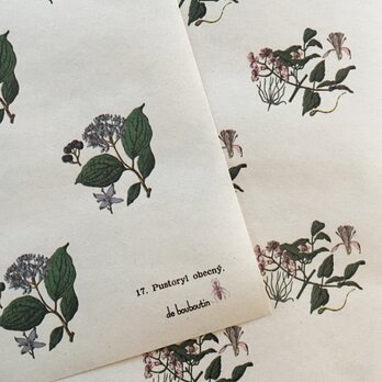 hungary botanicalflower　wrappingpaper　8Set　（№10 et №17）の画像