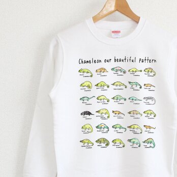 美しいカメレオンの世界　スウェット