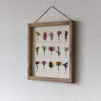 ﾎﾞﾀﾆｶﾙﾊﾟﾈﾙ　Ｈ-26