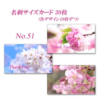 No.51  桜　　  名刺サイズサンキューカード  30枚の画像