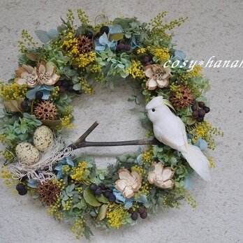 オウムと春の森wreathの画像