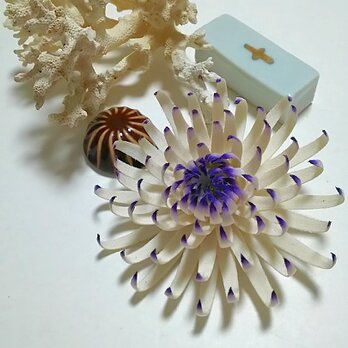 菊のコサージュの画像