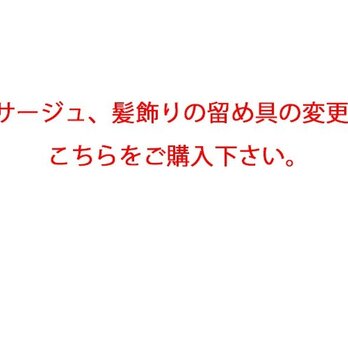 留め具変更をご希望の方は、こちらをご購入下さい。（変更料が発生する場合）