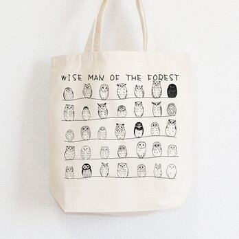 フクロウのひなたぼっこ　トート