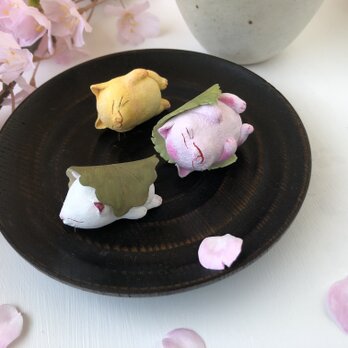春の和菓子みたいな猫さんの画像