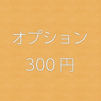 オプション300円の画像