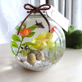 受注制作 金魚鉢の中で泳ぐ金魚たちの画像