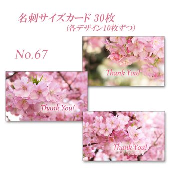 No.67 河津桜　  名刺サイズサンキューカード  30枚の画像