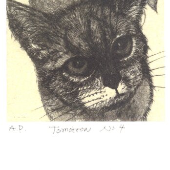 猫のポストカードの画像