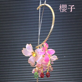 春桜 満開 甘いイヤーフックの画像