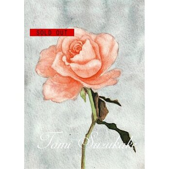 水彩画（原画）「薔薇の花」の画像