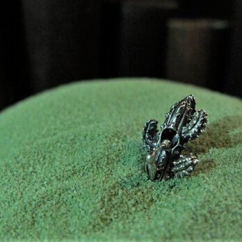 サバクシマセゲラ