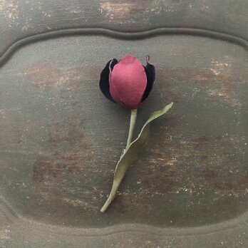 花便り・チューリップ