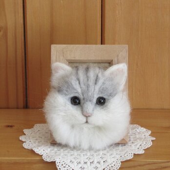 チンチラシルバー　猫　フレーム　の画像