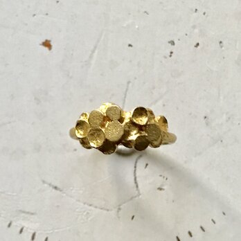 真鍮 リング / 芽吹き