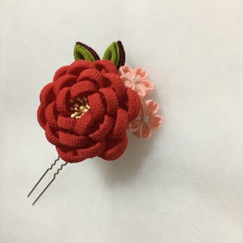 桜と牡丹の画像