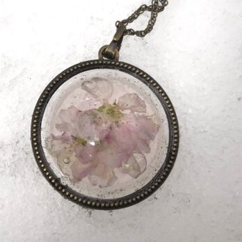 Botanical jewelry 桜　ペンダント　Lの画像