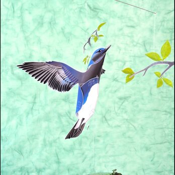 新緑と青い鳥（オオルリ）の画像