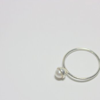 Acorn / Ringの画像