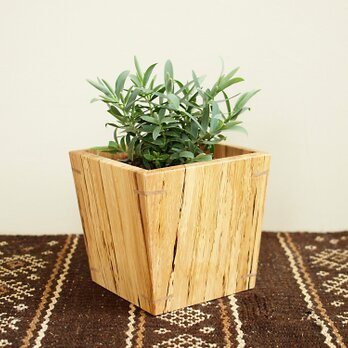 木製 鉢カバー（3号鉢用） 樫材　植木鉢カバー スポルテッドの画像