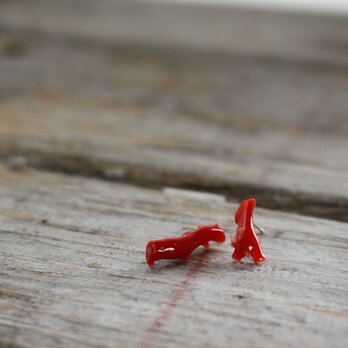 Japanese Red Coral Stud Earrings w/ K18ゴールドの画像