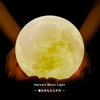 Harvest Moon Light - 恵みをもたらす月 -｜月ライト(大)【”秘密特典”付き♪】の画像