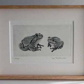 二匹の蛙/ 銅版画（額あり）の画像