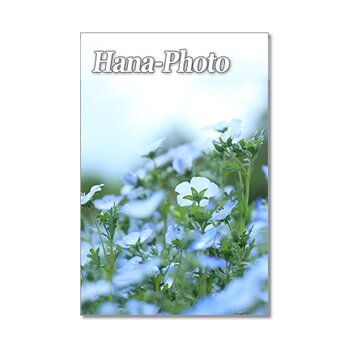 1351）花のある風景 1　ポストカード5枚組の画像