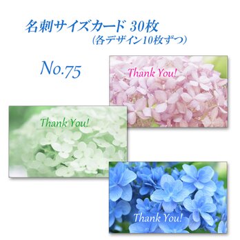 No.075　アナベルとアジサイ佳澄　  名刺サイズサンキューカード  30枚の画像