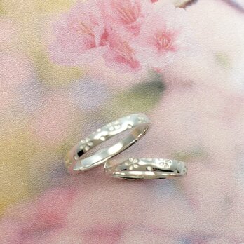 【桜指輪】-silver925-の画像
