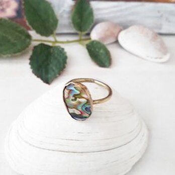 【11号】abalone shell ringの画像